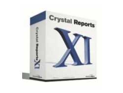 crystal reports xi developer full product starter pack
