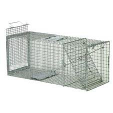 live animal trap for large raccoons, foxes, woodchucks - slide release door