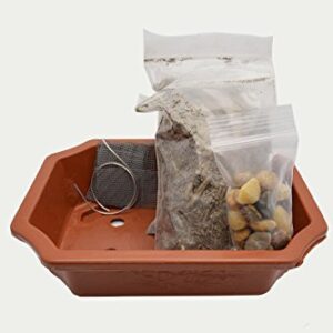 9GreenBox - Bonsai Potting Kit