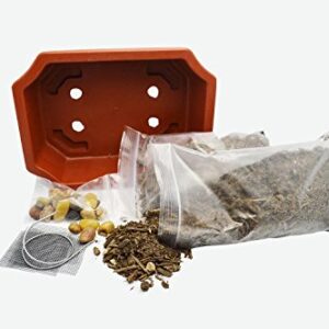 9GreenBox - Bonsai Potting Kit