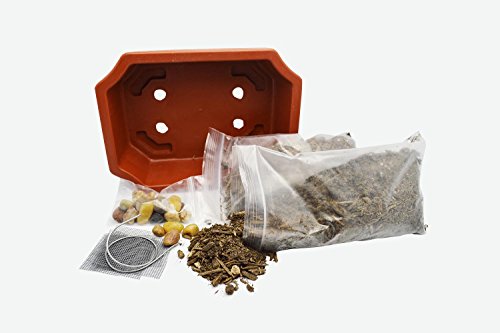 9GreenBox - Bonsai Potting Kit