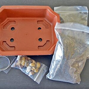 9GreenBox - Bonsai Potting Kit