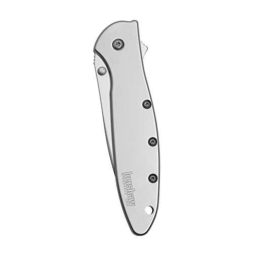 Kershaw Leek Serrated EDC Pocketknife, 3" Sandvik 14C28N Steel Blade, assisted opening Folding Knife, Dual Lock System