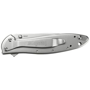 Kershaw Leek Serrated EDC Pocketknife, 3" Sandvik 14C28N Steel Blade, assisted opening Folding Knife, Dual Lock System