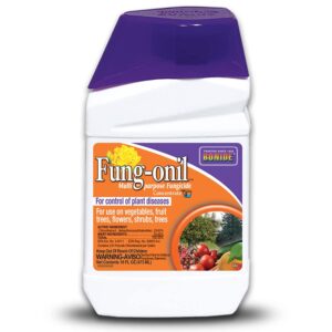 bonide fung-onil multi-purpose fungicide, 16 oz concentrate for plant disease control, controls blight, mildew & more