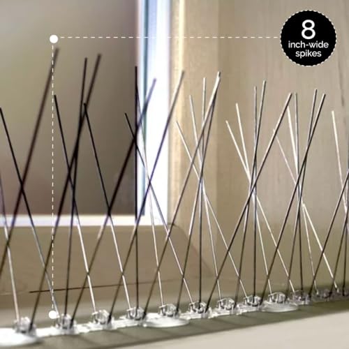 Bird-X Extra Wide 8-inch Stainless Steel Bird Spikes - Metal Roof Guard, Pigeon and Bat Deterrent, Animal and Pest Control Supplies, Covers 10 Feet