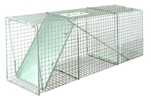 little giant® single door live trap | racoon trap | live animal trap | catches without injury | galvanized steel mesh | 42.25 x 16.75 x 16.75 in