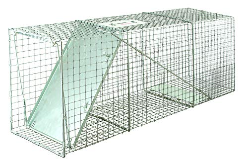 Little Giant® Single Door Live Trap | Racoon Trap | Live Animal Trap | Catches Without Injury | Galvanized Steel Mesh | 42.25 x 16.75 x 16.75 in