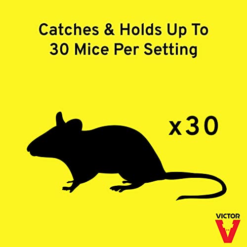 Victor M308 TIN CAT Clear Top Mouse Rat Trap, Pack of 12, Silver