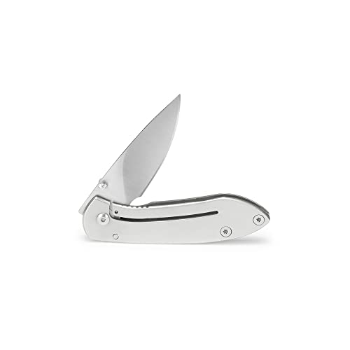 Buck Knives 0325 Colleague Stainless Steel Folding Pocket Knife