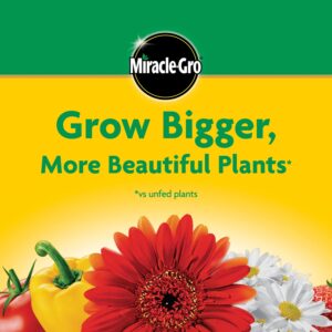 Miracle-Gro Water Soluble All Purpose Plant Food, Fertilizer for Indoor or Outdoor Flowers, Vegetables or Trees, 8 oz.