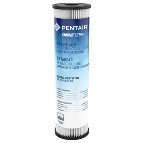Pentair OMNIFilter RS1 Sediment Water Filter, 10-Inch, Standard Whole House Pleated Cellulose Sediment Replacement Filter Cartridge, 10" x 2.5", 20 Micron, Pack of 1
