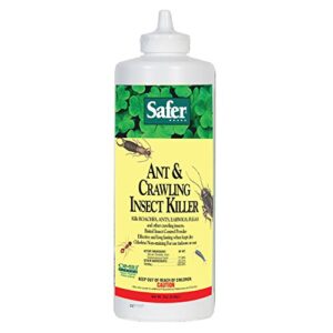 safer brand 5168 diatomaceous earth powder ant, crawling insect and bed bug killer, 7 ounces