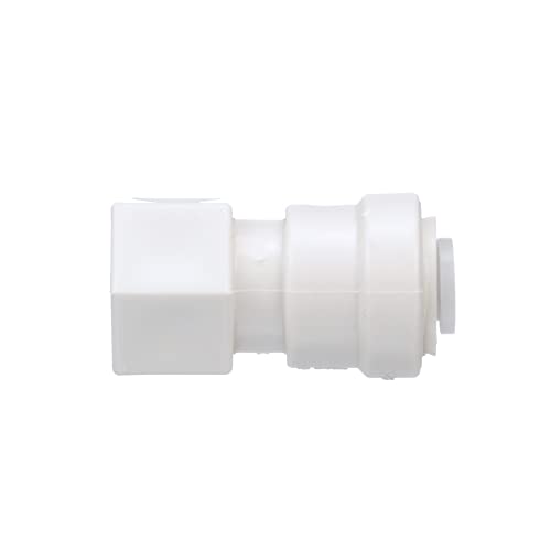 Watts PL-3060 Push Female Adapter, 1/4-Inch OD x 1/4-Inch FPT, Plastic