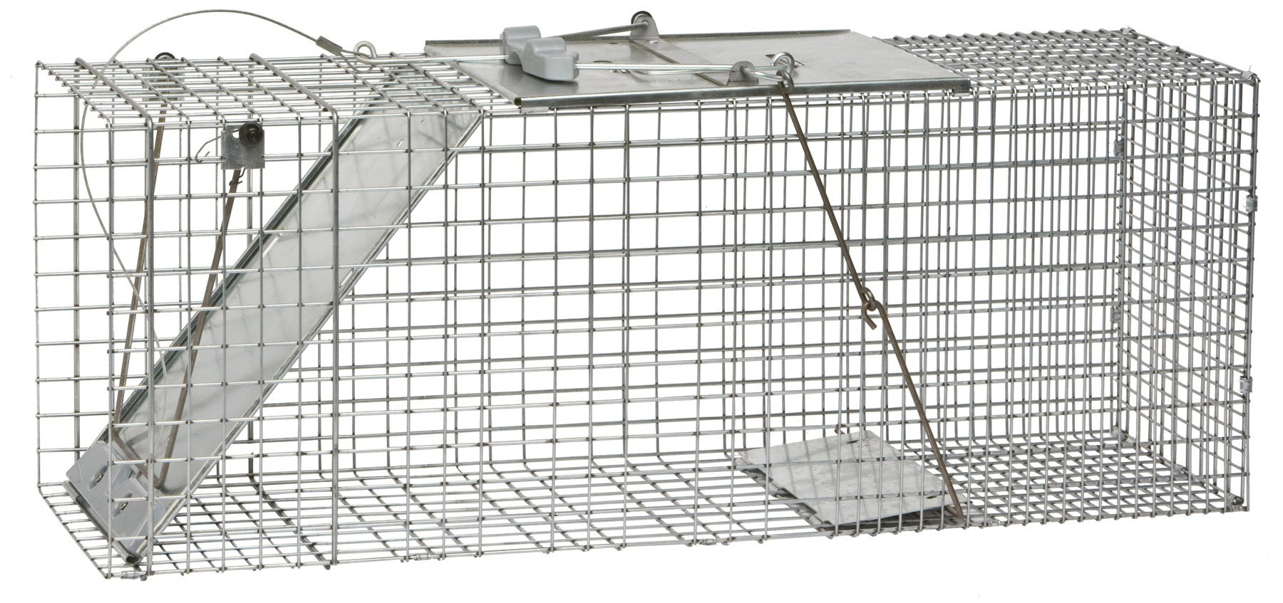 Havahart 1085 Large 1-Door Easy Set & Release Humane Live Animal Trap for Armadillos, Cats, Groundhogs, Muskrats, Nutria, Opossums, Racoons, Skunks, and Other Similar-Sized Animals