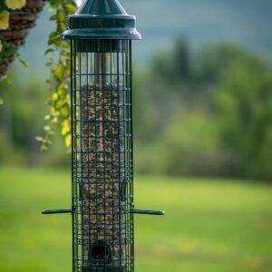 Squirrel Buster Classic Squirrel-proof Bird Feeder w/4 Feeding Ports, 2.4-pound Seed Capacity