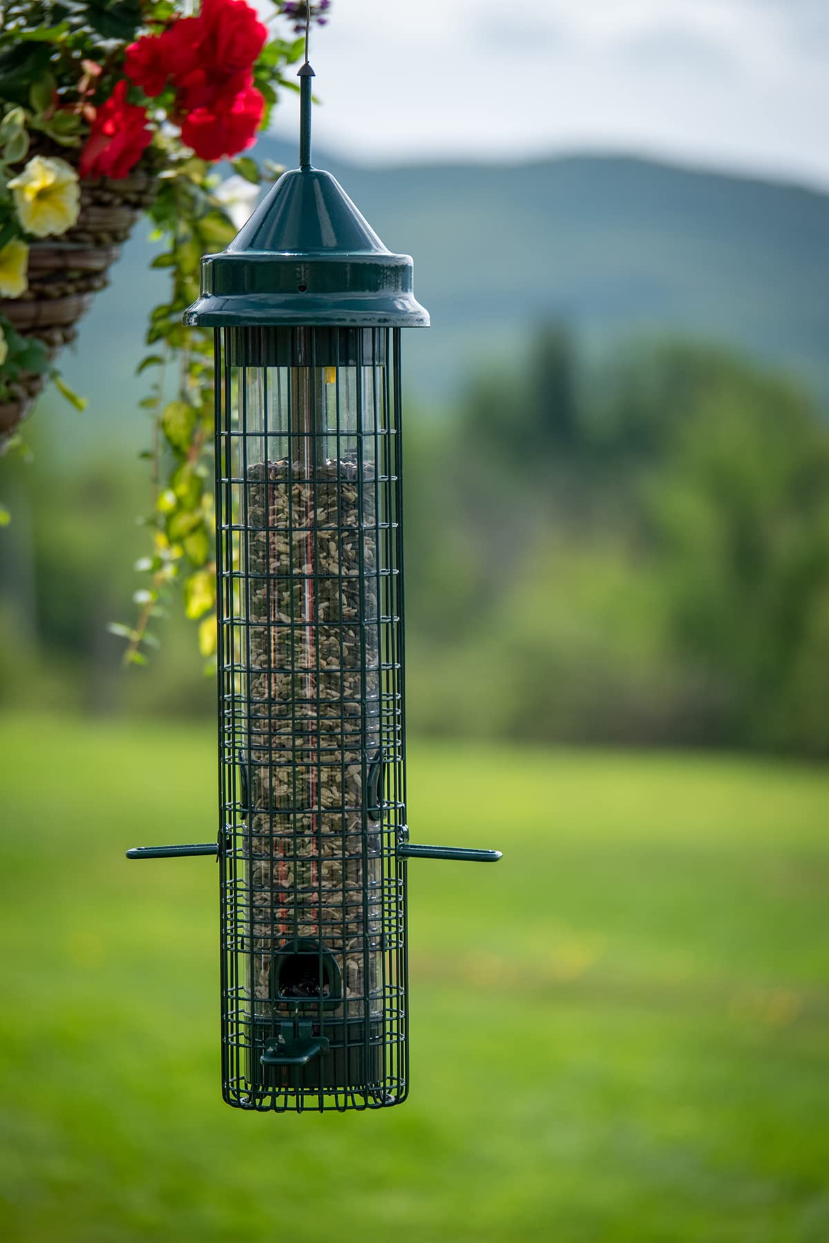 Squirrel Buster Classic Squirrel-proof Bird Feeder w/4 Feeding Ports, 2.4-pound Seed Capacity