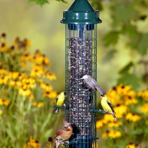 Squirrel Buster Classic Squirrel-proof Bird Feeder w/4 Feeding Ports, 2.4-pound Seed Capacity