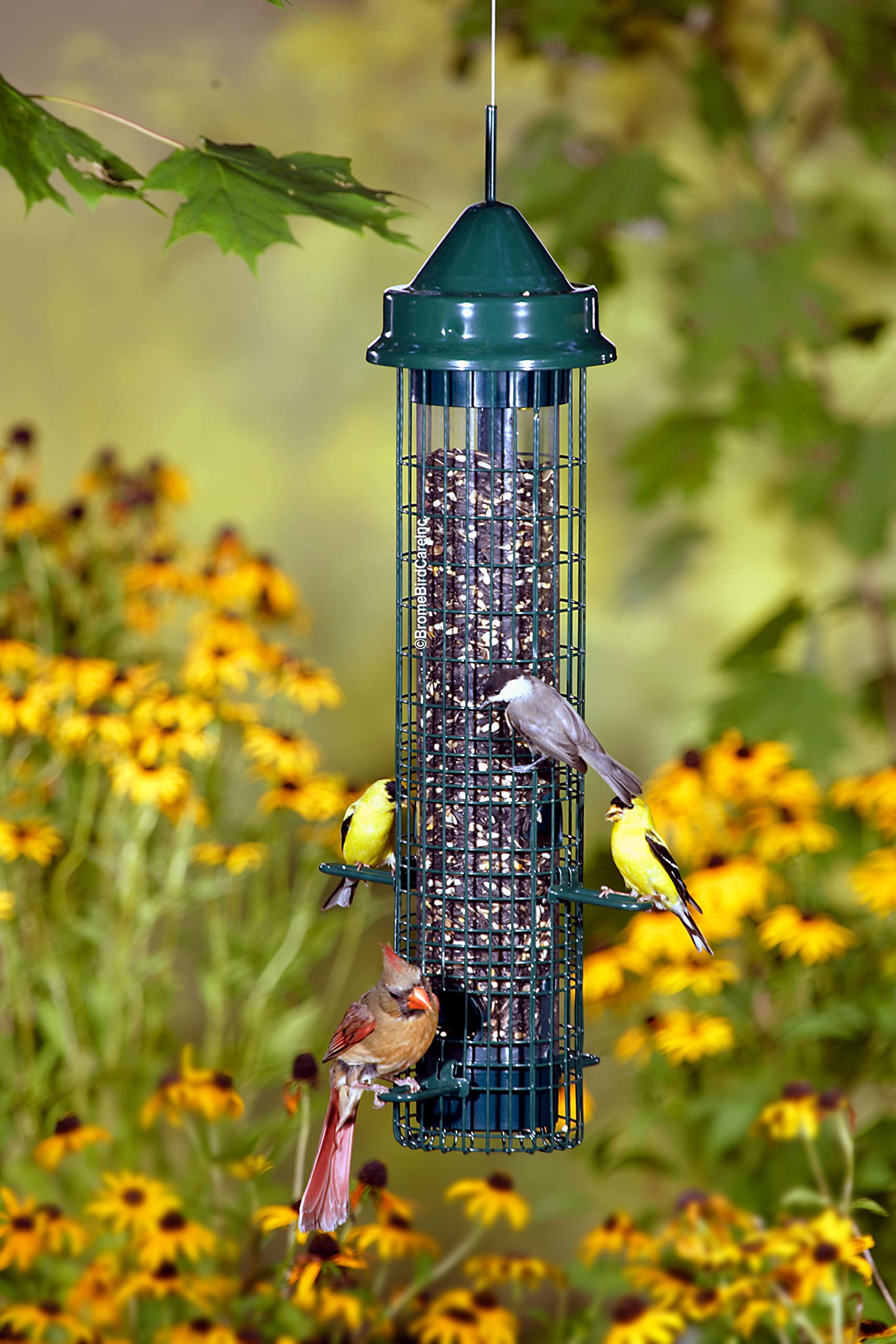 Squirrel Buster Classic Squirrel-proof Bird Feeder w/4 Feeding Ports, 2.4-pound Seed Capacity