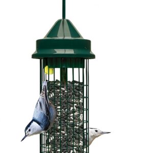 Squirrel Buster Classic Squirrel-proof Bird Feeder w/4 Feeding Ports, 2.4-pound Seed Capacity