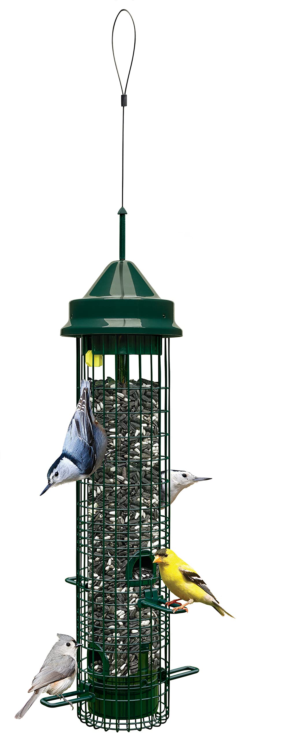 Squirrel Buster Classic Squirrel-proof Bird Feeder w/4 Feeding Ports, 2.4-pound Seed Capacity