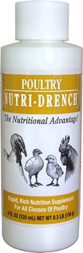 Bovidr Laboratories P-4 OZ Poultry Nutri-Drench