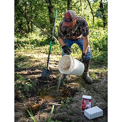 EVOLVED HABITATS Deer Cane Block Mineral Deer Attractant - Fast & Easy to Use All Year-Round Concentrated Mineral Food Supplement for Deer