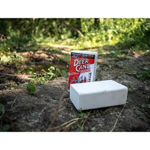 EVOLVED HABITATS Deer Cane Block Mineral Deer Attractant - Fast & Easy to Use All Year-Round Concentrated Mineral Food Supplement for Deer