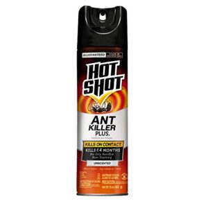 hot shot ant killer plus aerosol, unscented, kills on contact