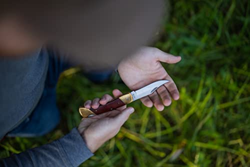 Uncle Henry LB7CP Bear Paw Traditional Lockback Pocket Knife with 3.7in Clip Point High Carbon S.S. Blade, Wood Handle, Brass Bolsters, and Leather Belt Sheath for EDC, Hunting, Camping, and Outdoors,Brown