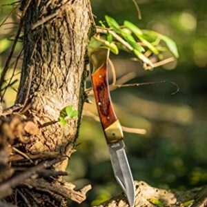 Uncle Henry LB7CP Bear Paw Traditional Lockback Pocket Knife with 3.7in Clip Point High Carbon S.S. Blade, Wood Handle, Brass Bolsters, and Leather Belt Sheath for EDC, Hunting, Camping, and Outdoors,Brown