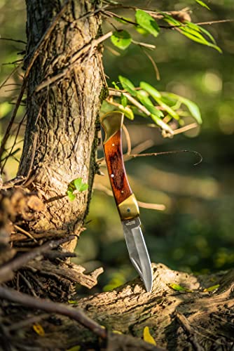 Uncle Henry LB7CP Bear Paw Traditional Lockback Pocket Knife with 3.7in Clip Point High Carbon S.S. Blade, Wood Handle, Brass Bolsters, and Leather Belt Sheath for EDC, Hunting, Camping, and Outdoors,Brown