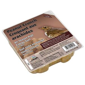 heath outdoor products dd-18 peanut crunch suet cake, 12-pack