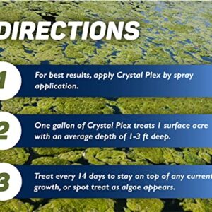 Crystal Plex - Lake and Pond Algaecide Treatment - Liquid Copper Algaecide Kills and Prevents Various Types of Algae (Planktonic, Filamentous, Chara) - 1 Gallon Treats up to 1 Acre