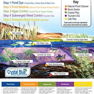 Crystal Plex - Lake and Pond Algaecide Treatment - Liquid Copper Algaecide Kills and Prevents Various Types of Algae (Planktonic, Filamentous, Chara) - 1 Gallon Treats up to 1 Acre