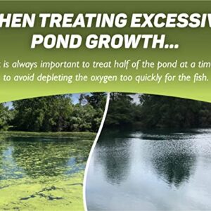 Crystal Plex - Lake and Pond Algaecide Treatment - Liquid Copper Algaecide Kills and Prevents Various Types of Algae (Planktonic, Filamentous, Chara) - 1 Gallon Treats up to 1 Acre