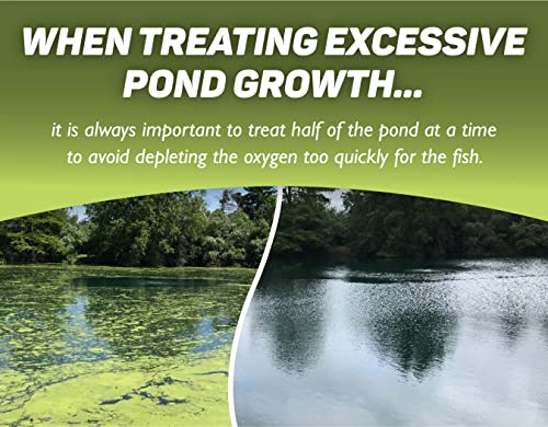 Crystal Plex - Lake and Pond Algaecide Treatment - Liquid Copper Algaecide Kills and Prevents Various Types of Algae (Planktonic, Filamentous, Chara) - 1 Gallon Treats up to 1 Acre