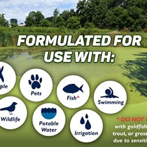 Crystal Plex - Lake and Pond Algaecide Treatment - Liquid Copper Algaecide Kills and Prevents Various Types of Algae (Planktonic, Filamentous, Chara) - 1 Gallon Treats up to 1 Acre