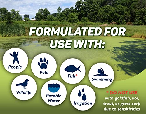 Crystal Plex - Lake and Pond Algaecide Treatment - Liquid Copper Algaecide Kills and Prevents Various Types of Algae (Planktonic, Filamentous, Chara) - 1 Gallon Treats up to 1 Acre