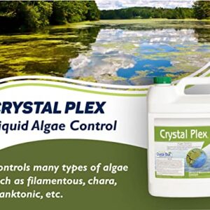 Crystal Plex - Lake and Pond Algaecide Treatment - Liquid Copper Algaecide Kills and Prevents Various Types of Algae (Planktonic, Filamentous, Chara) - 1 Gallon Treats up to 1 Acre