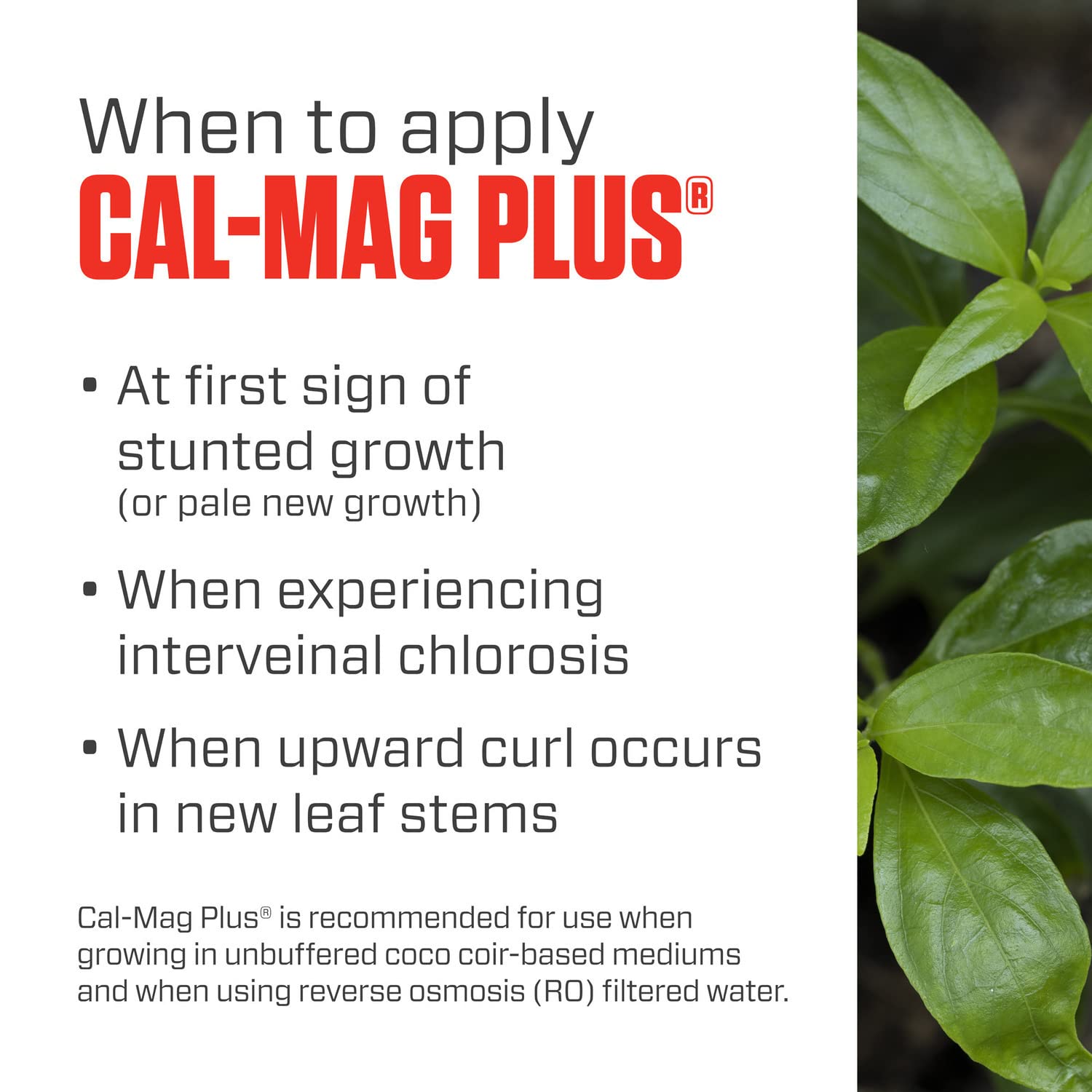 Botanicare Cal-Mag Plus, A Calcium, Magnesium, and Iron Plant Supplement, Corrects Common Plant Deficiencies, Add to Water or Use as a Spray, 2-0-0 NPK, 1-Gallon