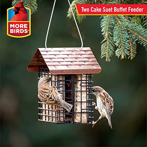 More Birds Double Suet Cage Bird Feeder with Metal Roof, Fruit and Suet Feeder, 2 Suet Cake Capacity