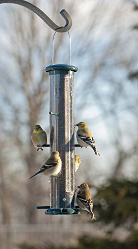 Woodlink NATUBE9 Audubon Plastic 8 Port Thistle Finch Feeder, Green, 15-Inch