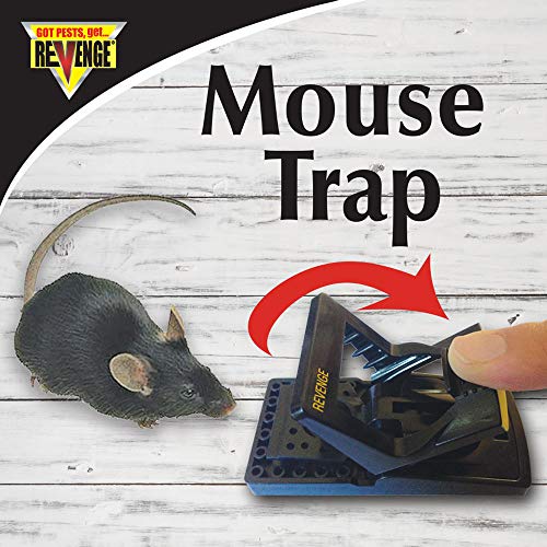 Bonide 47080 Traps, Revenge No Escape Mouse, Pack of 2 Reusable Large Bait Well for Effective Rodent Control Indoors and Outdoors, 2-1/4 in OAH x 1-3/4 in OAW x 4-1/4 in OAD