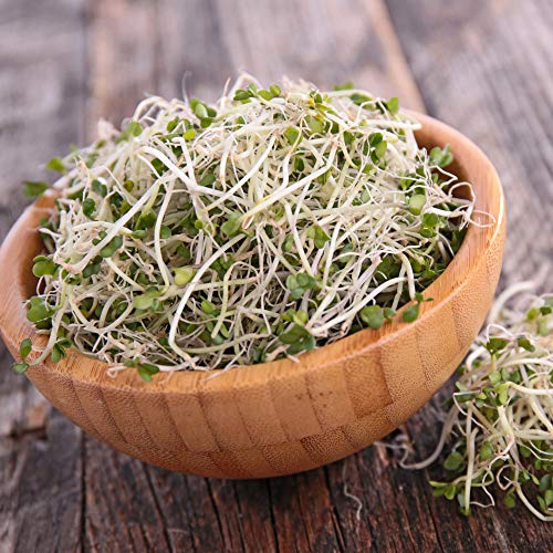 Organic Broccoli Sprouting Seeds By Handy Pantry | 8 oz. Resealable Bag | Non-GMO Broccoli Sprouts Seeds, Contains Sulforaphane