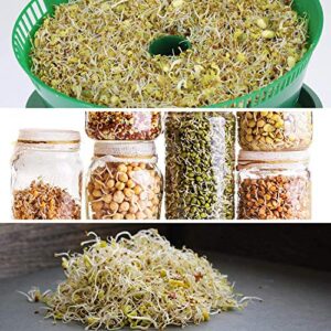 Handy Pantry Organic 5-Part Salad Sprouting Mix - 16 oz