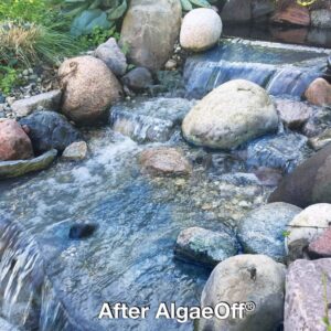 crystalclear algaeoff pond algae control treatment, for cleaner & clearer pond water, epa registered algaecide treatment, safe for use in ponds containing fish and plants, treats 1000 sq, 2.5 lbs