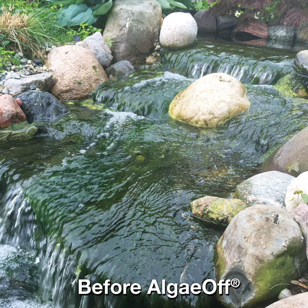 CrystalClear AlgaeOff Pond Algae Control Treatment, for Cleaner & Clearer Pond Water, EPA Registered Algaecide Treatment, Safe for Use in Ponds Containing Fish and Plants, Treats 1000 sq, 2.5 lbs