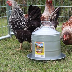 Miller 9835 5-Gallon Galvanized Poultry Fountain