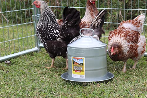 Miller 9835 5-Gallon Galvanized Poultry Fountain